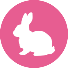 Chinese Zodiac Calculator